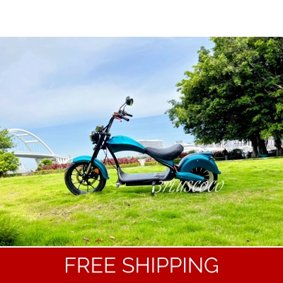 GPS E Chopper Adult EEC COC Electric Scooter With Alarm Unisex Electric Motorcycle 3-Speed